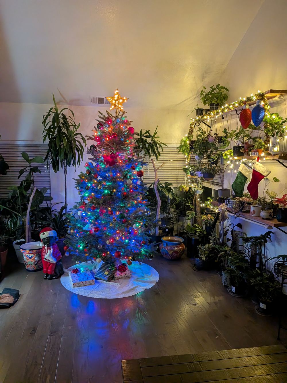 Christmas tree surrounded by houseplants